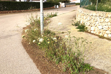 portada canutells.jpg